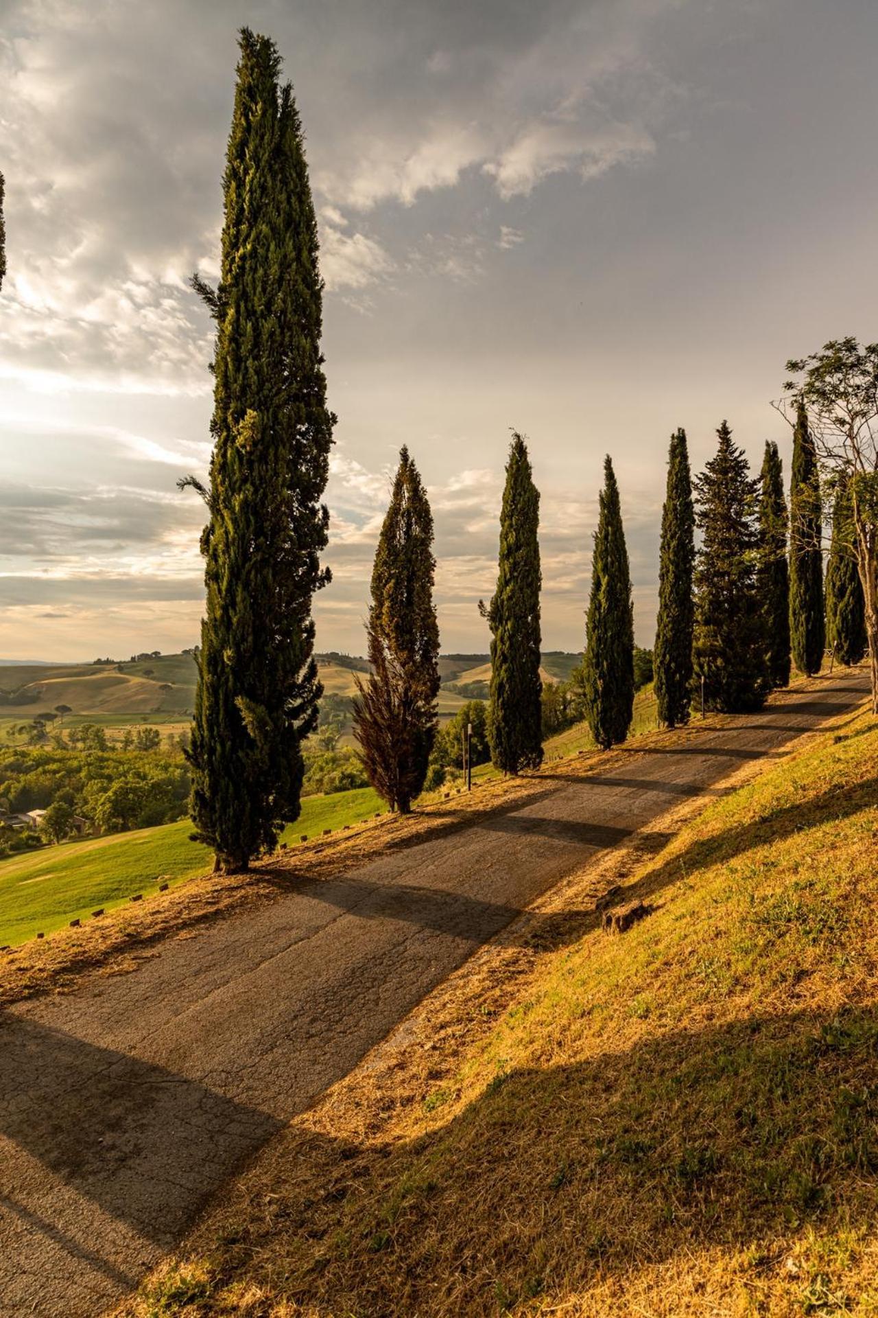Agriturismo Percenna Buonconvento Eksteriør billede