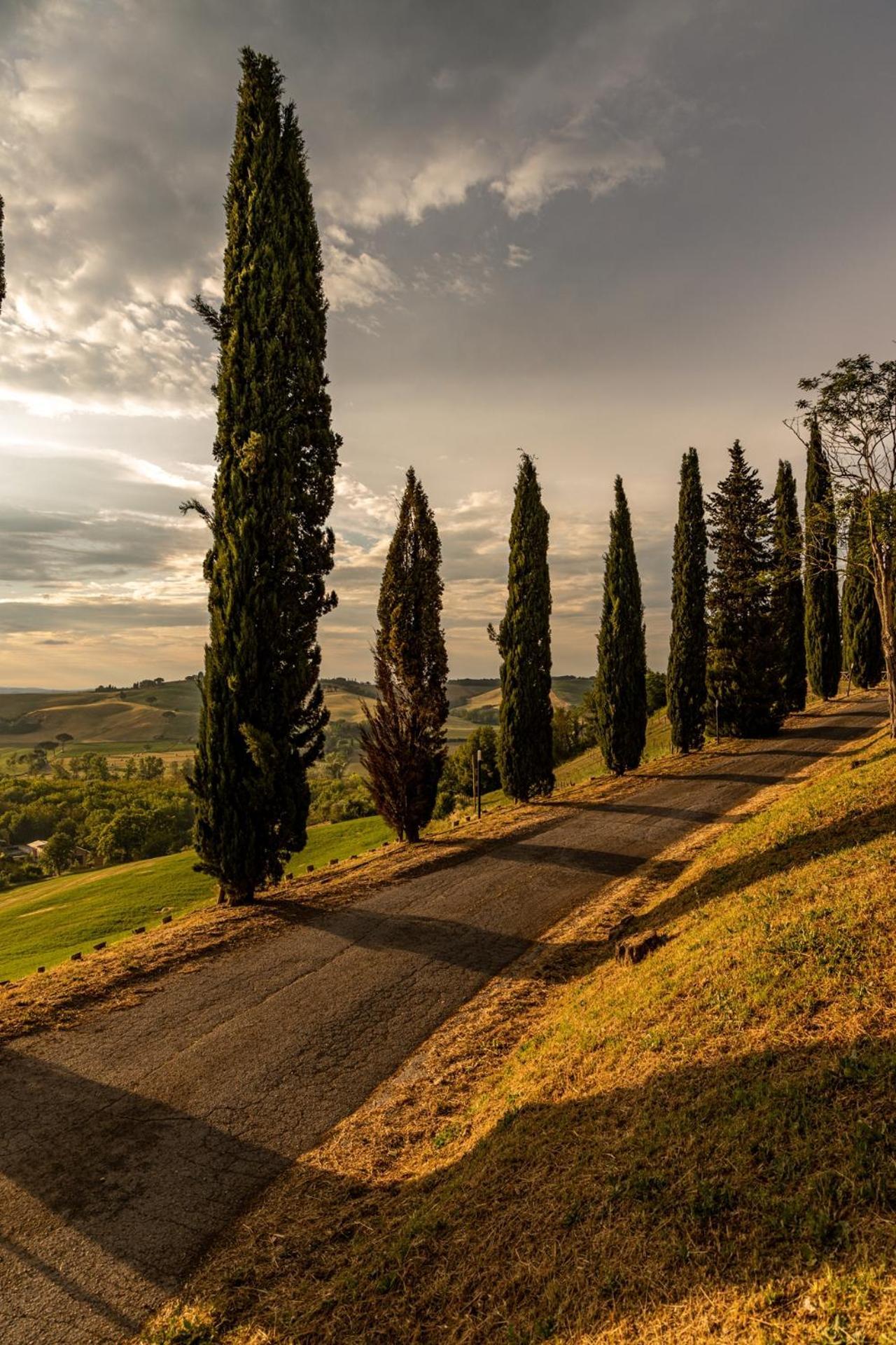 Agriturismo Percenna Buonconvento Eksteriør billede