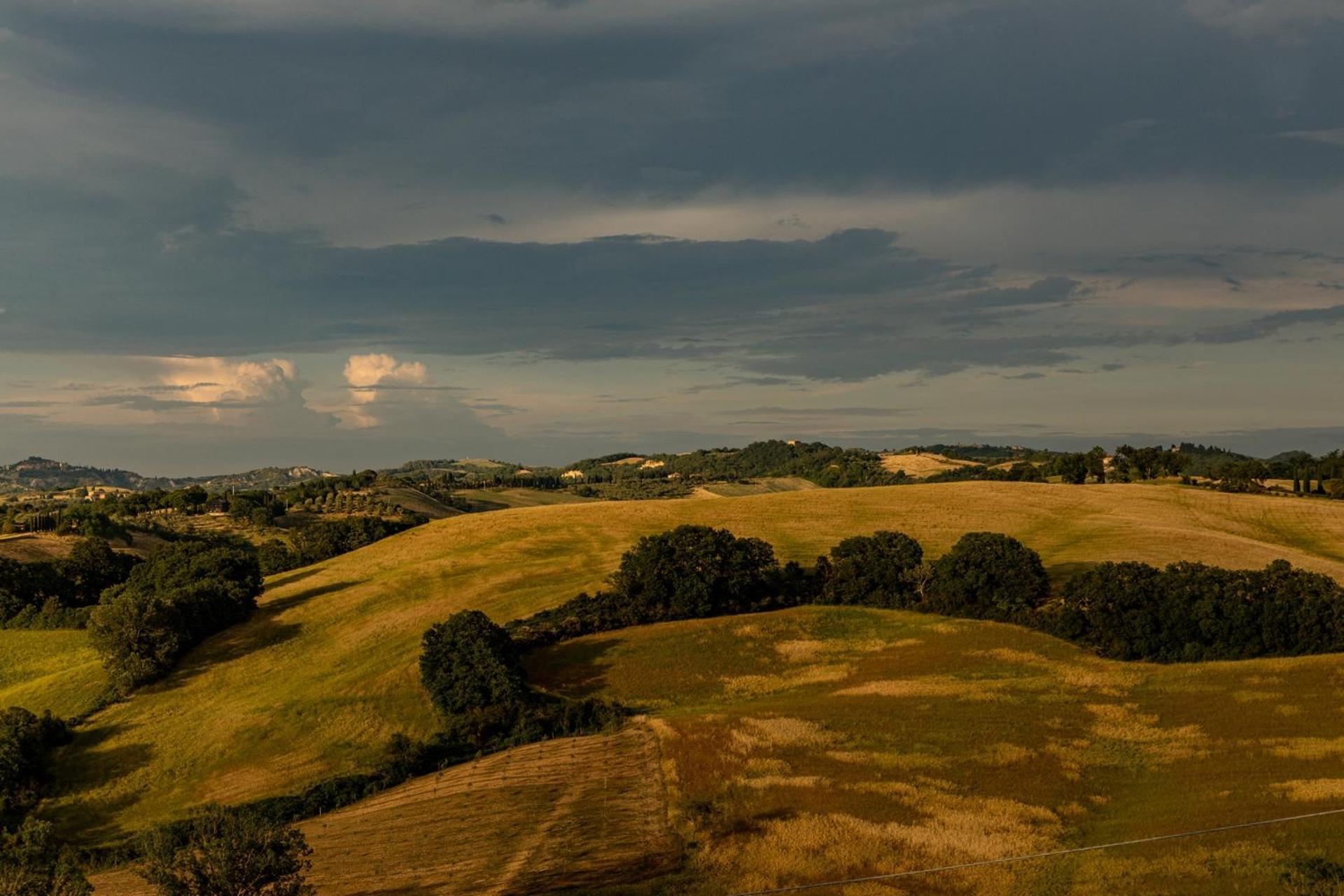 Agriturismo Percenna Buonconvento Eksteriør billede